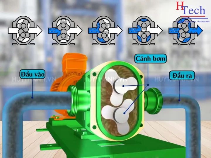 Báo Giá Máy Bơm Thực Phẩm Dạng Sệt Mới Nhất: Top Lựa Chọn 2025 5 may-bom-thuc-pham-dang-set-huy-thanh-4