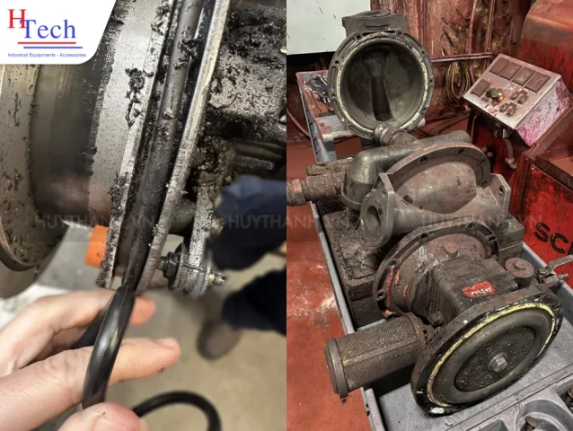 phu-tung-bom-mang-aro-huy-thanh-pumps-4