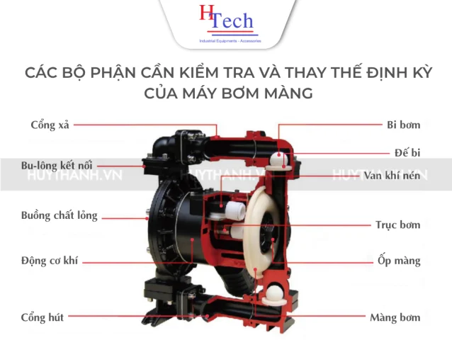 phu-tung-bom-mang-aro-huy-thanh-pumps-5