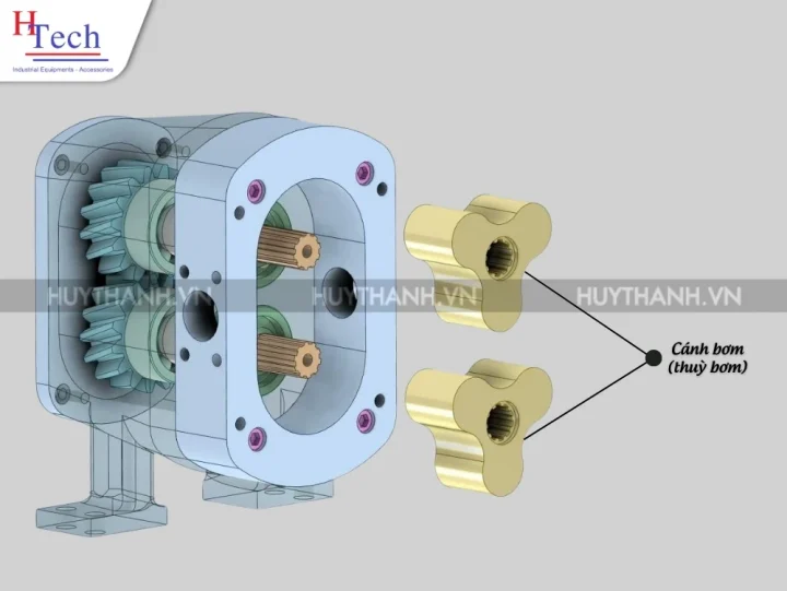 Cấu Tạo Bơm Cánh Khế