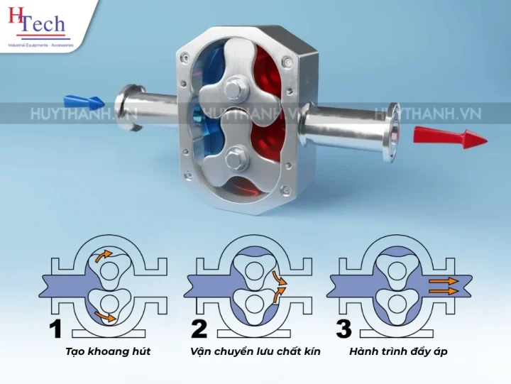 Bơm Cánh Khế - Nguyên Lý Hoạt Động