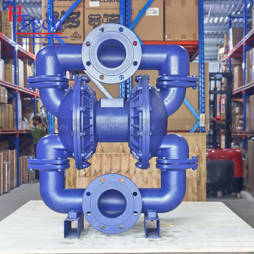 Bơm Màng Carten Pump HLD125-CISP