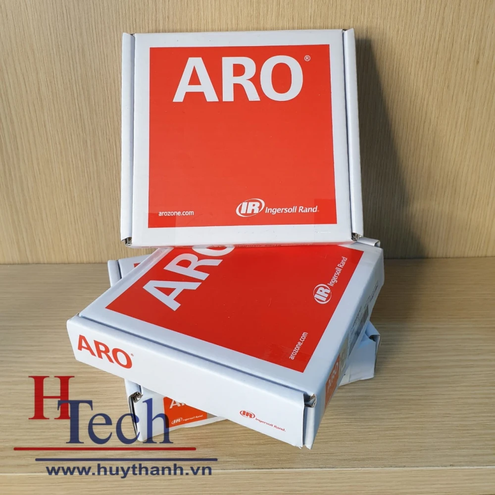 Bộ KIT sửa chữa bơm màng ARO 1″ 637118-C